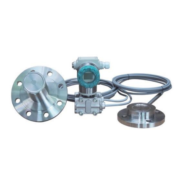 Remote differential pressure transmitter